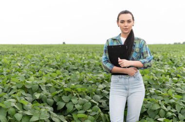 Tarım mühendisi, tarım ve sürdürülebilir tarım uygulamalarındaki uzmanlığını gösteren ekili bir tarlada soya fasulyesi mahsulünü incelerken elinde bir pano tutuyor.