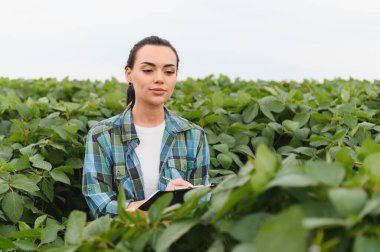 Yaz boyunca gelişen bir soya tarlasında çalışırken ekinleri inceleyen ve not alan dişi tarımcı.