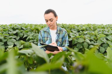 Ekinleri inceleyen ve soya fasulyesi tarlasında not alan kadın tarım mühendisi sağlıklı büyüme ve verimi en üst düzeye çıkarıyor.