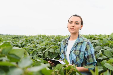 Genç tarımcı, tohum ekilen alandaki soya bitkilerinin büyümesini incelerken panoya notlar yazıyor.