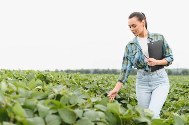 Kadın tarım uzmanı, ekilmiş soya tarlasında yürüyor, bitkileri inceliyor ve verimli ürün yönetimi için notlar alıyor.