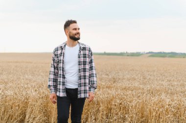 Genç çiftçi gün batımında altın buğday tarlasında yürüyor, emeklerinin meyvelerinin tadını çıkarıyor.