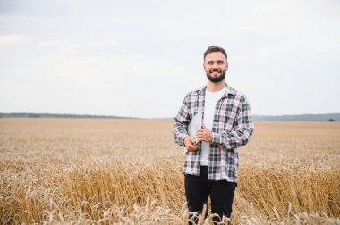 Çiftçi altın buğday tarlasında dizüstü bilgisayarını tutuyor ve gülümsüyor, modern tarım ve teknolojiyi gözler önüne seriyor.