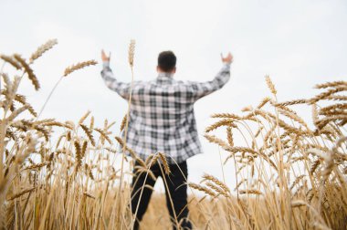 Kollarını kaldırarak altın buğday tarlasında başarılı bir hasat kutlayan çiftçi doğanın cömertliği için neşe ve minnettarlığını ifade ediyor.