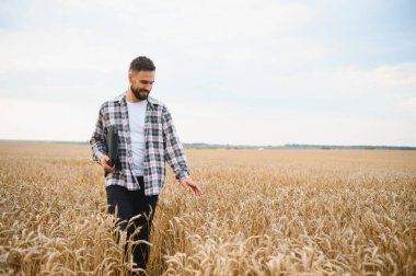 Çiftçi altın bir tarlada buğday saplarına nazikçe dokunurken bir dizüstü bilgisayar taşıyor, parlak yaz gökyüzünün altındaki mahsul sağlığını izliyor.