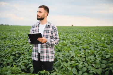 Soya bitkilerini inceleyen ve büyük ekili bir alanda bir panoya not alan bir tarımcı.