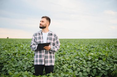 Soya fasulyesi tarlasında büyüyen bitkilerin büyümesini inceleyen, elinde bir pano tutan ve mahsulün sağlık ve gelişimini değerlendiren bir tarım uzmanı.