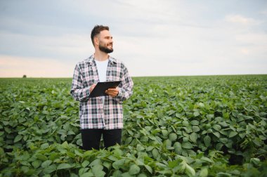 Agronomist, soya fasulyesi tarlasında ekinleri incelerken panoya not alıyor, sağlıklı büyüme sağlıyor ve verimi artırıyor.