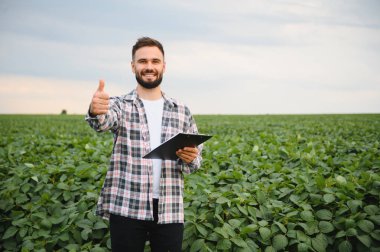 Ekilmiş soya tarlasında dikilen ve ekin büyümesinden duyduğu memnuniyeti dile getiren bir ziraatçi pano tutarken başparmağını kaldırıyor.