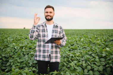 Mutlu tarım uzmanı elinde pano ve işaret diliyle soya tarlasında dikilirken