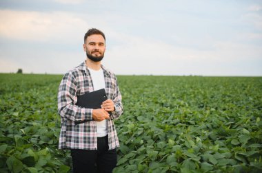 Soya tarlasında ekinleri inceleyen, sağlıklı büyümeyi sağlayan ve verimi en üst düzeye çıkaran bir tarım uzmanı.