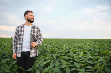 Agronomist yemyeşil bir tarlada büyüyen soya tohumlarını inceliyor, bir pano tutuyor ve dikkatlice uzaklığa bakıyor.