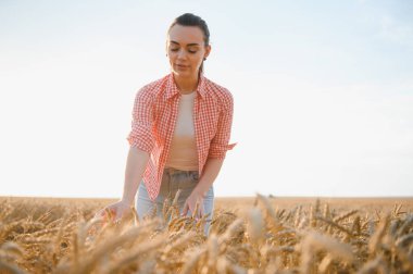 Doğanın güzelliğini kucaklayan büyüleyici altın saat boyunca verimli bir tarlada olgun buğday kulaklarını inceleyen genç bir kadın çiftçi.