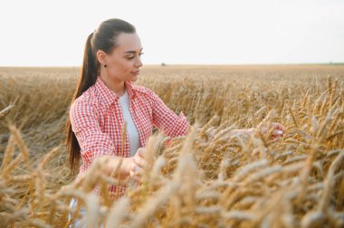 Genç çiftçi kadın gün batımında altın bir tarlada olgunlaşmış buğday kulaklarına hafifçe dokunarak hasadın kalitesini kontrol ediyor.
