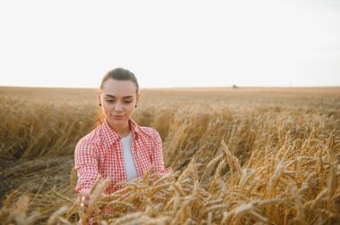 Genç kadın çiftçi gün batımında ekili tarlalarda olgun buğday kulaklarına hafifçe dokunarak başarılı hasadının tadını çıkarıyor.