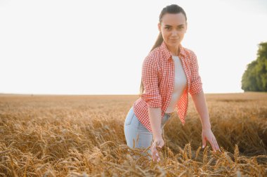 Genç kadın çiftçi gün batımında altın bir tarlada olgun buğday kulaklarına hafifçe dokunarak bereketli bir hasat sağlıyor.