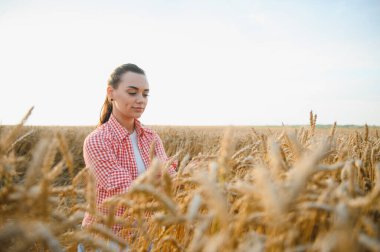 Genç bir kadın çiftçi gün batımında altın buğday tarlasında yürüyor, olgun hasadı teftiş ederken sakin kırsal manzaranın tadını çıkarıyor.