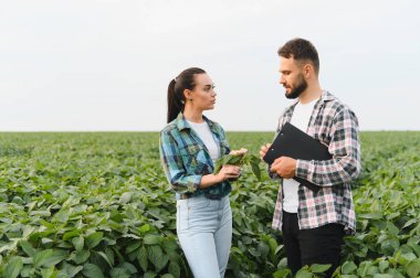 İki çiftçi, ekili bir tarlada soya fasulyelerinin büyümesini tartışıyor. Bu da tarım alanında uzmanlık ve işbirliği göstergesi.