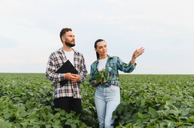 İki çiftçi soya fasulyesi tarlasında büyümeyi ve potansiyel hasadı tartışıyor, tarım uzmanlığı ve sürdürülebilir tarım uygulamalarını sergiliyorlar.