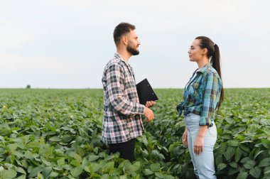 İki çiftçi soya fasulyesi tarlasında tarlalarda tarlaların büyümesi ve hasat mevsiminde hasat planlamasını tartışıyor.