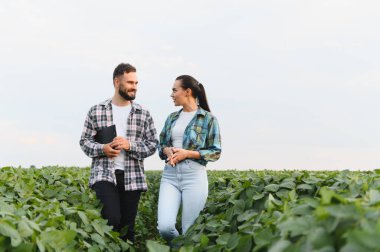 İki çiftçi soya fasulyesi tarlasında yürüyor ve tarlaların büyümesini ve sağlığını inceliyor.