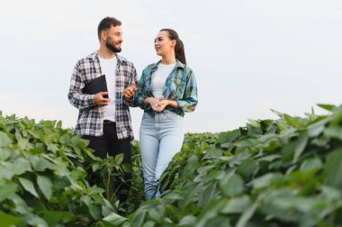 İki çiftçi yemyeşil bir soya tarlasında yürüyor, ekinlerin büyümesi ve genel sağlığı hakkında canlı bir tartışmaya girişiyor.