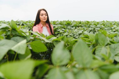 Genç çiftçi kadın, sıcak yaz ayları boyunca verimli soya bitkilerinin yetiştirilmesini araştırıyor.