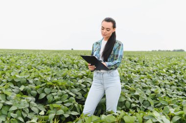 Kadın çiftçi, geniş bir tarlada soya ekininin büyümesini incelerken bir panoya not alıyor.