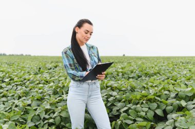 Kadın tarım mühendisi soya fasulyesi tarlasında ekinleri incelerken not alıyor, sağlıklı büyüme ve sürdürülebilir tarım uygulamalarını güvence altına alıyor.