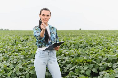 Tarım mühendisi pano tutuyor ve soya ekinlerinin tarladaki büyümesini incelerken kalemle işaret ediyor.