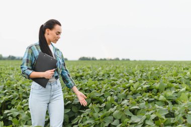 Kadın tarımcı elinde bir pano ile tarımsal alanda büyüyen soya bitkilerini inceliyor.