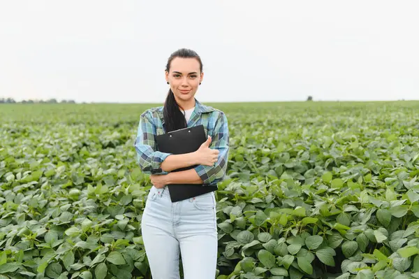 Kadın çiftçi, elinde bir pano tutarak, modern tarımı ve sürdürülebilir tarım uygulamalarını sembolize ederek, uçsuz bucaksız bir soya tarlasında duruyor.