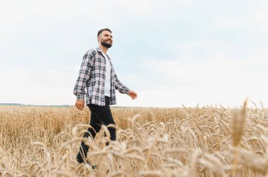 Genç çiftçi olgunlaşmış buğday tarlalarında yürüyor, temiz bir gökyüzü altında emeklerinin meyvelerinin tadını çıkarıyor.