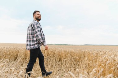 Olgun buğday tarlasında yürüyen genç çiftçi, güneşli bir günde emeğinin meyvelerinin tadını çıkarıyor.