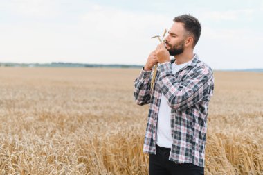 Çiftçi altın bir tarlada olgun buğday kokusunun tadını çıkararak başarılı bir hasat sezonunu kutluyor.