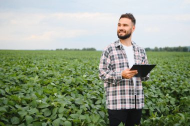 Ekinleri inceleyen ve soya fasulyesi tarlasında notlar alan tarımcı sağlıklı büyümeyi ve verimi en üst düzeye çıkarmayı garanti ediyor.