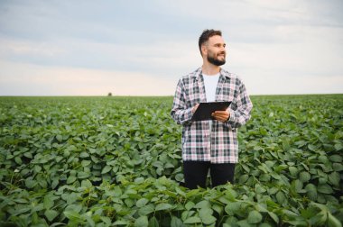 Agronomist, ekili bir alanda soya tohumlarını incelerken bir panoya not alıyor, büyüme ve kalite değerlendirmesine odaklanıyor.