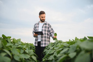 Büyüyen soya bitkilerini inceleyen ve bir panoya not alan tarım alanında kalite kontrolü yapan bir tarımcı.