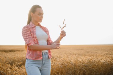 Olgun buğday saplarını gün batımında altın bir tarlada inceleyen dişi çiftçi, tarım ve hasat ruhunu somutlaştırıyor.