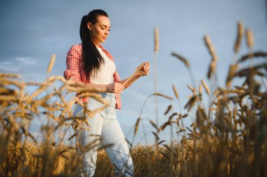 Tarlada buğday tarlalarını inceleyen dişi çiftçi gün batımında tarımın tadını çıkarıyor.