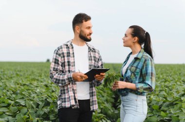 İki çiftçi soya fasulyesi tarlasında tarlaları inceliyor ve analiz ve kalite kontrolü için notlar alıyor.