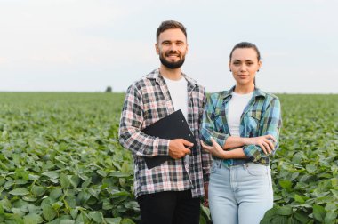 İki kendine güvenen çiftçi soya fasulyesi tarlasının ortasında duruyor, biri elinde bir pano tutuyor, uzmanlıklarını ve tarıma bağlılıklarını sergiliyorlar.