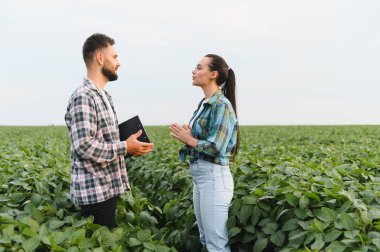 İki çiftçi soya fasulyesi tarlasında durmuş, ellerinde bir pano ile mahsulün büyümesini tartışıyor ve değerlendiriyorlar.