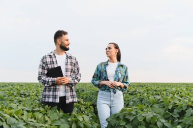İki çiftçi soya fasulyesi tarlasında tartışıyor, muhtemelen açık güneşli bir günde ekinlerin büyümesini ve ekinleri hasat etmeyi planlıyorlar.
