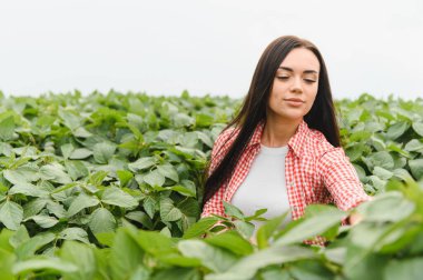 Genç kadın çiftçi, ekili bir tarlada soya fasulyesi yetiştirerek sağlıklı ve verimli bir hasat sağlıyor.