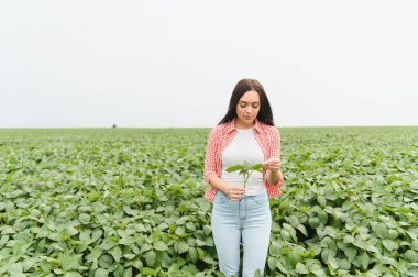 Genç bir çiftçi, sürdürülebilir tarım ve ekin yetiştirme üzerine odaklanarak, büyük ekili bir tarlada soya fasulyesi tarlasını teftiş ediyor.