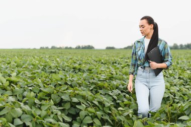 Genç kadın tarımcı, tohum ekilmiş soya tarlasında yürüyor, elinde pano tutuyor ve bitkileri denetliyor.