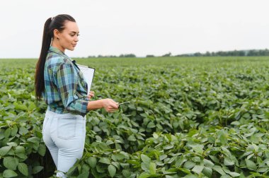 Dişi tarım mühendisi elinde bir pano ve kalemle yaz mevsiminde gelişen bir tarlada soya fasulyesi ekinlerini inceliyor.
