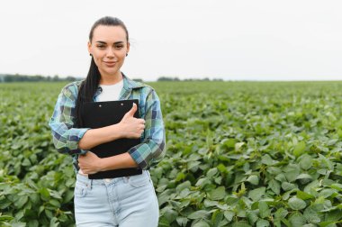 Kendine güveni tam bir kadın tarım uzmanının elinde bir soya tarlasında mahsulü incelerken işaret parmağı var.