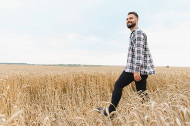 Olgun buğday tarlalarında yürüyen genç çiftçi güneşli yaz gününde tarım manzarasının tadını çıkarıyor.